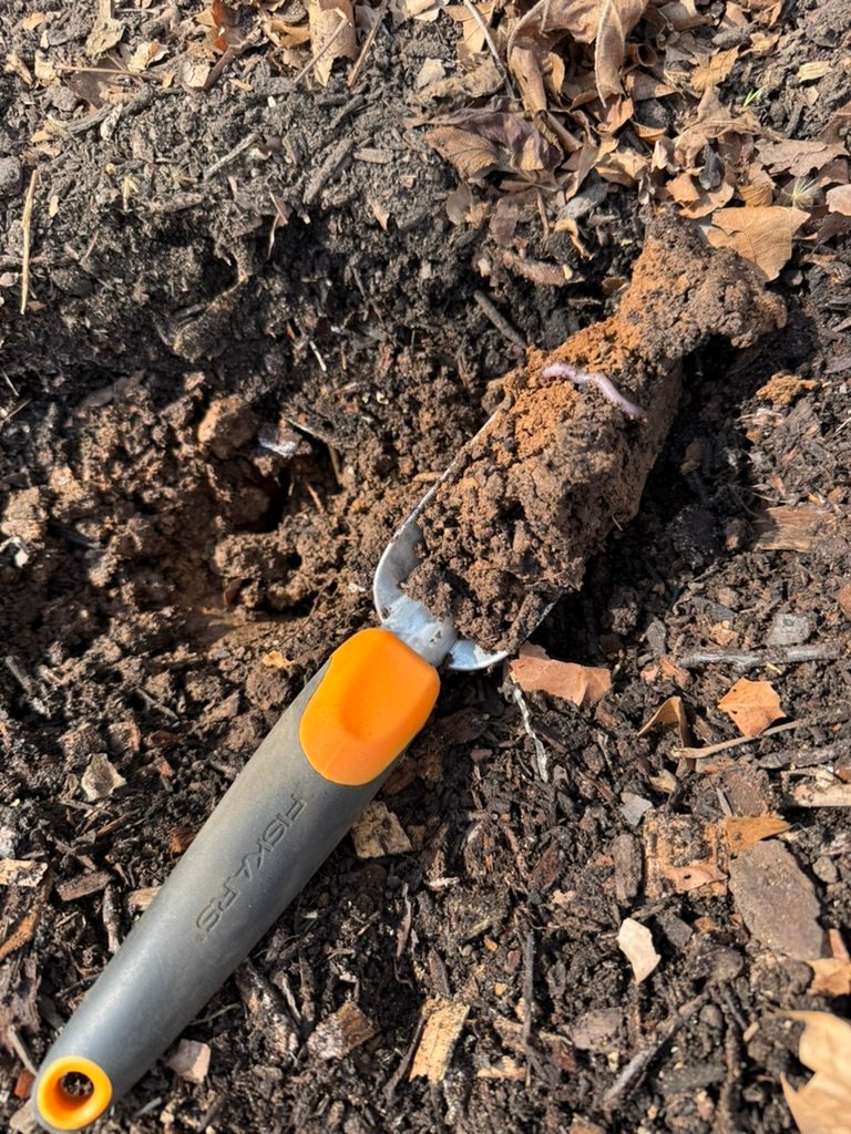 Foundation